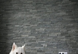 3D мозаика из камня RKS SLATE Кварцит Monsoon Black Rockface