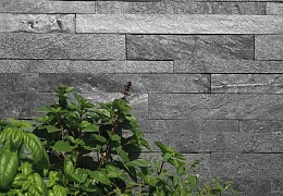 3D панели RKS SLATE Кварцит Silver Grey Natural