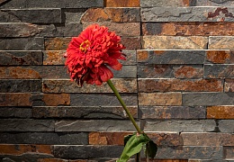 3D панели RKS SLATE Сланец Multicolor Classic