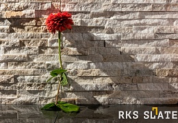 3D панели RKS SLATE Кварцит Beige Quartz Classic