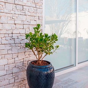 Декоративный камень фасадный 3D панели RKS SLATE Песчаник White Sandstone Country