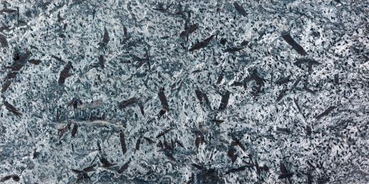 Сланец RKS SLATE Silver Grey Matrix Honed