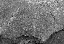 Сланец RKS SLATE Black Mushroom